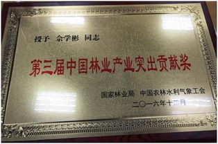 佘學(xué)彬榮獲第三屆中國(guó)林業(yè)產(chǎn)業(yè)突出貢獻(xiàn)獎(jiǎng)，引領(lǐng)信息技術(shù)服務(wù)新篇章
