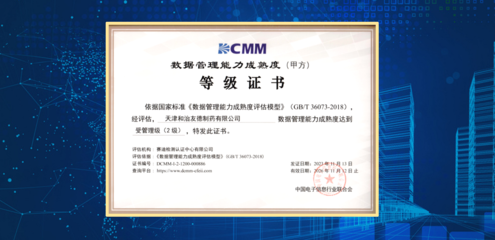 天津和治友德制藥成功通過DCMM貫標等級認證，信息技術(shù)服務(wù)邁上新臺階